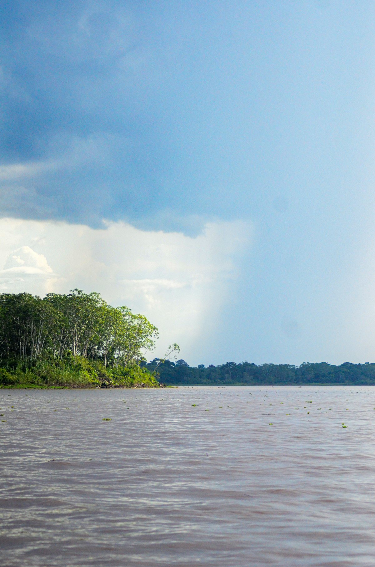 Rio amazônico largo com floresta densa nas margens sob céu carregado